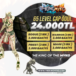 65LEVELCAP.png
